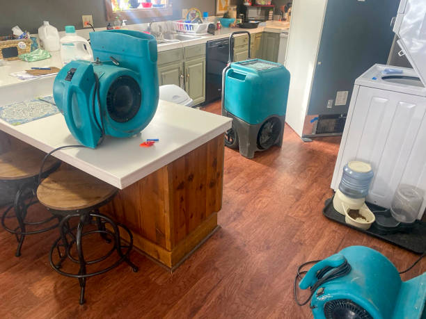 Best Water damage restoration near me  in Doffing, TX