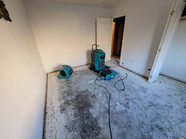 Best Fire Damage Restoration  in Doffing, TX
