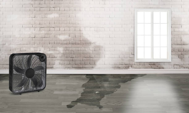 Best Water damage restoration company  in Doffing, TX