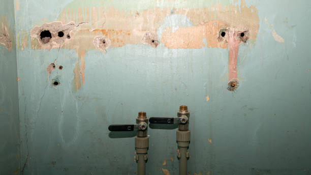 Best Mold removal after water damage  in Doffing, TX