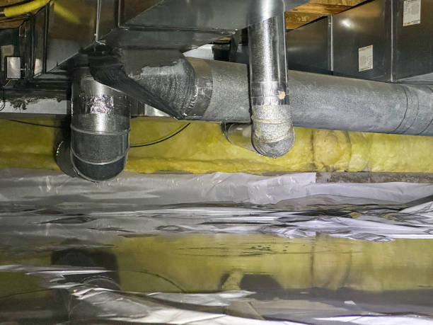 Best Basement water damage restoration  in Doffing, TX