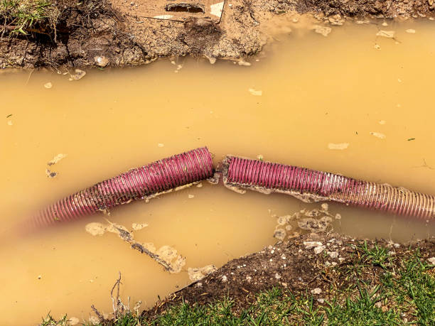 Best 24/7 water damage repair  in Doffing, TX
