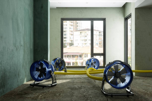  Doffing, TX Water damage restoration Pros