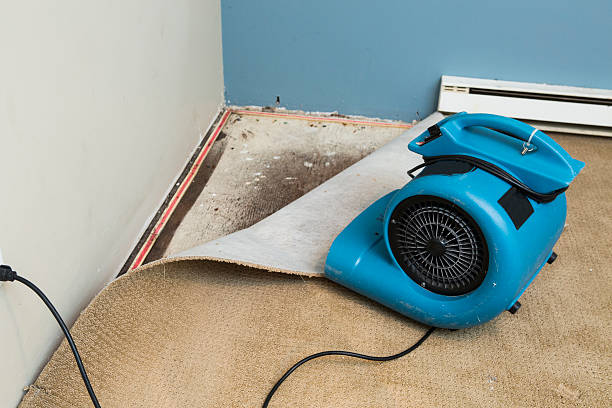 Best Fire Damage Restoration  in Doffing, TX